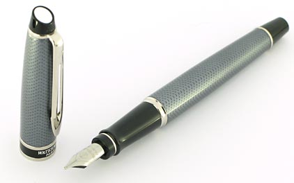 stylo plume waterman expert