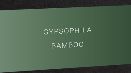 Encre Bambou - vert gris - parfum gypsophile - Otto Hutt - photo 2