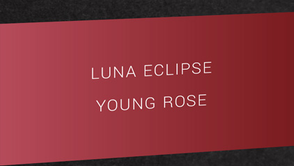 Encre Luna Eclipse - Rouge foncé - parfum jeune rose - Otto Hutt - photo 2