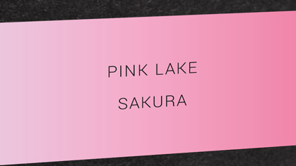 Encre Pink Lake - Rose pâle - parfum fleurs de cerisier - Otto Hutt - photo 2