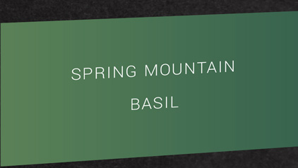 Encre Spring Mountain - Vert foncé - parfum basilic - Otto Hutt - photo 2